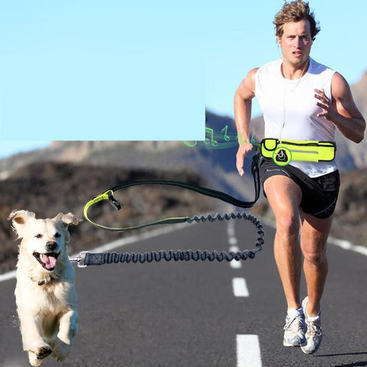KFX-0764221 Adjustable Hands-Free Dog Running Leash with Reflective Waist Pocket and Shock Absorbing Bungee
