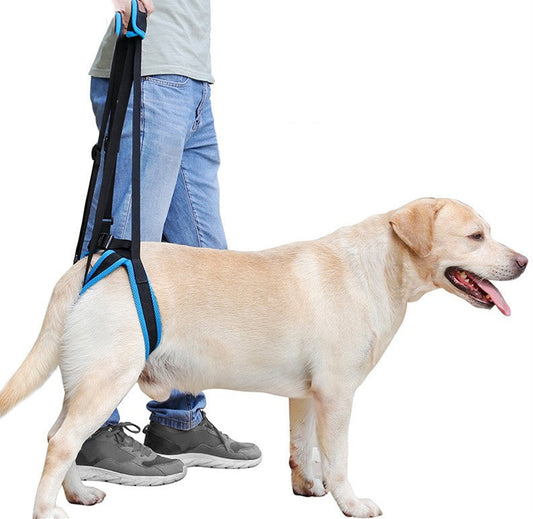 KFX-0796477 Dog Hind Leg Support Harness - Adjustable Sandwich Mesh Design, Multiple Sizes Available