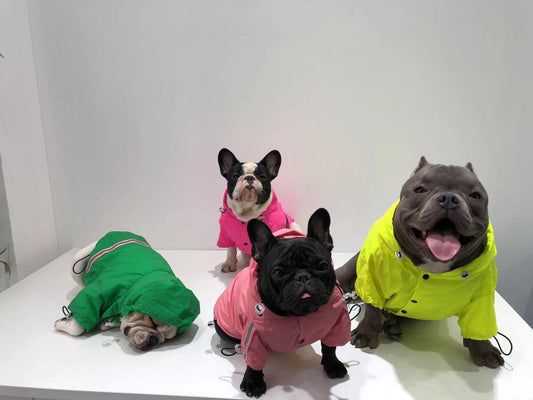 KFX-0854589 Reflective Waterproof Raincoat for Pets - Lemon Yellow & Grey, Sizes XS to XL