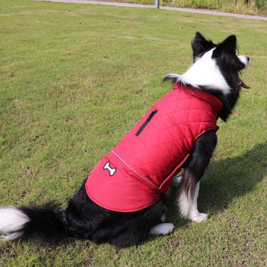 KFX-0884413 Outdoor Dog Clothes for Autumn and Winter - Casual Styles in Various Colors and Sizes
