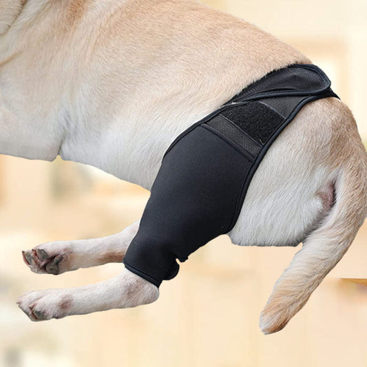 KFX-0887229 Pet Thigh Protective Sleeve for Surgical Recovery - Neoprene Joint Leggings in Multiple Sizes