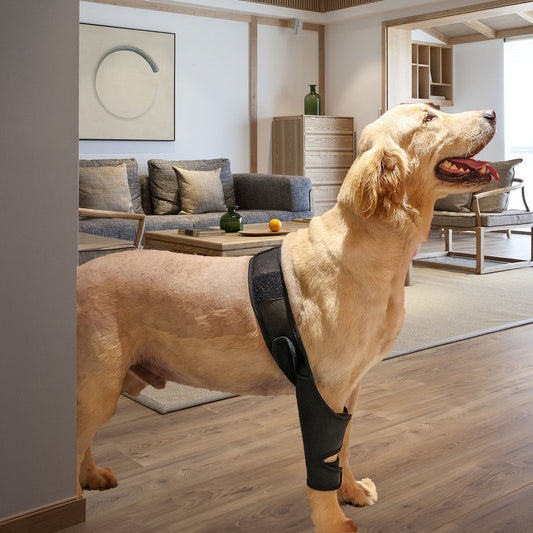 KFX-0887229 Pet Thigh Protective Sleeve for Surgical Recovery - Neoprene Joint Leggings in Multiple Sizes