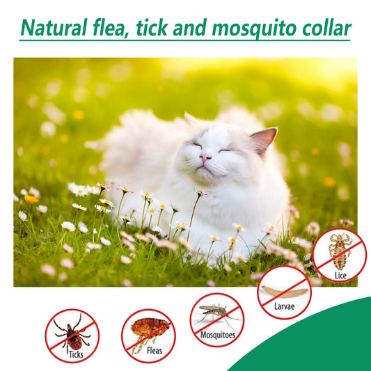KFX-0914749 Adjustable Pet Insect-Proof Collar with Natural Essential Oils