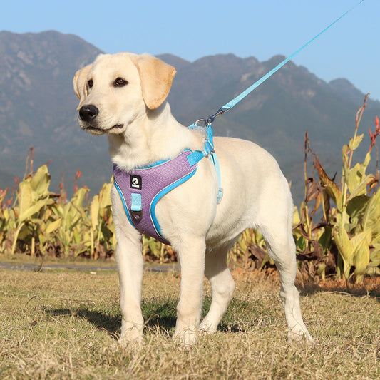 KFX-0927549 Adjustable Breathable Pet Harness with Leash, Available in Multiple Colors and Sizes