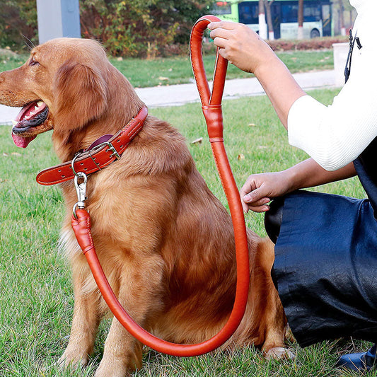 KFX-0928061 Dog Walking Leash Set with Adjustable Collar - Durable PU Material, Multiple Sizes Available