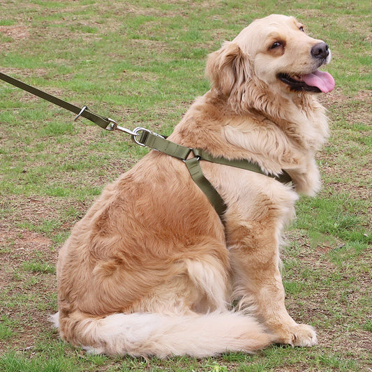 KFX-0949309 Adjustable Polyester Dog Leash with Golden Wool Edge for Large Breeds