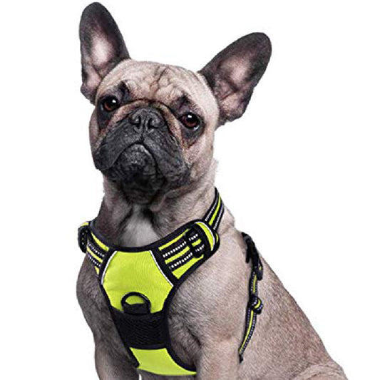 KFX-0966077 Adjustable Pet Traction Rope Chest Strap in Black, Red, Green – Available in M, L, XL, XXL