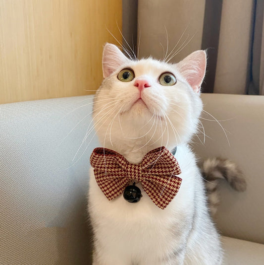 KFX-0974781 Stylish Pet Collar with Bow Tie Decoration - Available in Multiple Colors and Sizes
