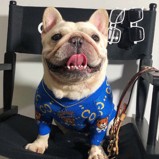 KFX-1030333 Cozy Blue Bear Wool Sweater for Dogs - Autumn and Winter Fashion
