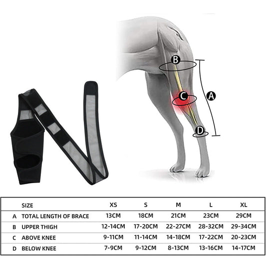 KFX-1050429 Dog Thigh Protector for Front and Rear Leg Fractures, Neoprene Fabric Mesh, Casual Design, Size S-XL, Black