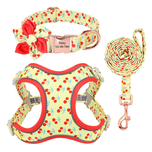KFX-1058621 Small Dog Leash and Collar Set for Comfort and Control - Includes Towing Rope and Strap