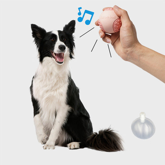 KFX-1068349 Interactive Rolling Dog Ball Toy for Small to Large Dogs - Durable, Washable & Safe Pet Fun