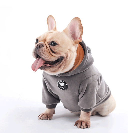 KFX-1090109 Super Soft Coral Fleece Sweater for Autumn and Winter - Corgi and Schnauzer Fit