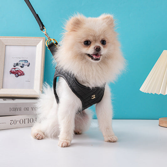 KFX-1091389 Leather Dog Chest and Back Harness Suit in Black - Sizes S to XL with Included Rope