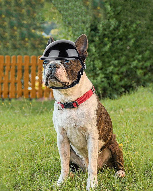 KFX-1105981 Dog Motorcycle Helmet with Stickers and Bamboo Dragonfly Decoration - Durable ABS+PC Material, Black