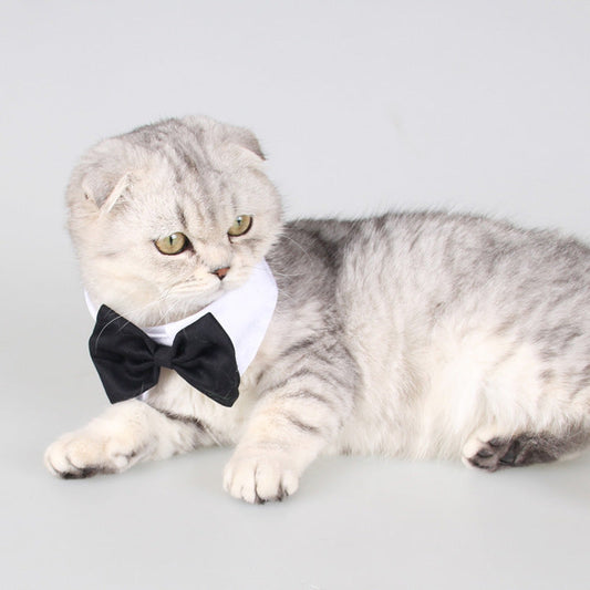 KFX-1111357 Gentleman Dog Bow Tie and Scarf Collar Ornament for Small and Medium Breeds in Black and White