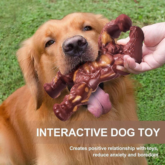 KFX-1156285 Nylon Dog Chew Toy in Beef Flavor - Durable Molar Nibbler for Active Dogs
