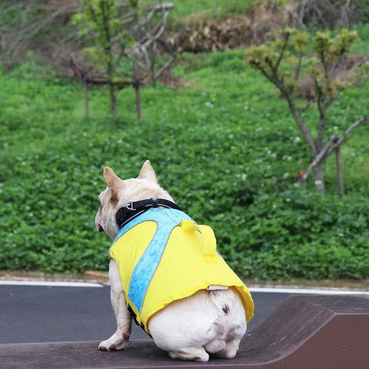 KFX-1182269 Bright Color Contrast Dog Life Jacket Vest for Safety in Water Activities
