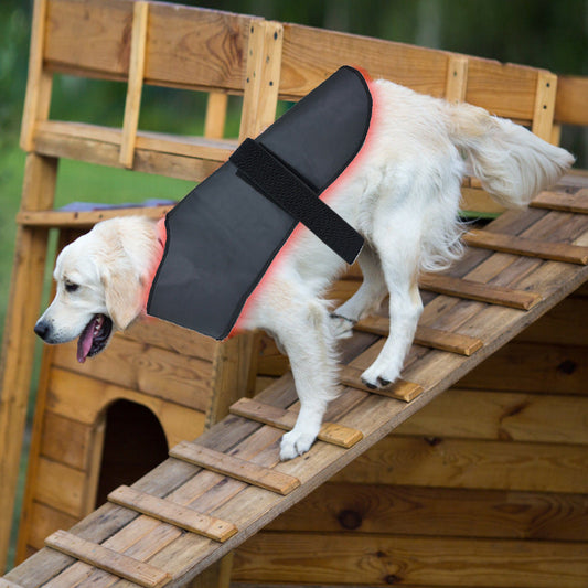 KFX-1195837 Portable Wireless Red Light Infrared Physiotherapy Device for Dogs and Cats - Aids Back and Abdomen Injury Recovery