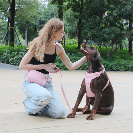KFX-1209661 Cherry Blossom Pink Corduroy Pet Walking Set with Collar, Leash, Chest Harness & Mini Backpack