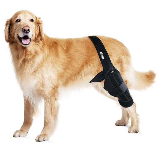 KFX-1231549 Rehabilitation Training Belt for Tear Protection in Sports Activities