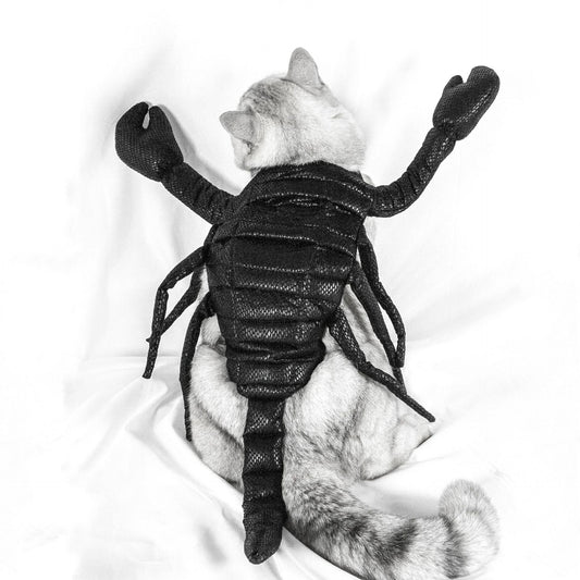 KFX-1237053 Scorpion Halloween Costume for Cats, Black Pet Apparel, Fun Party Outfit
