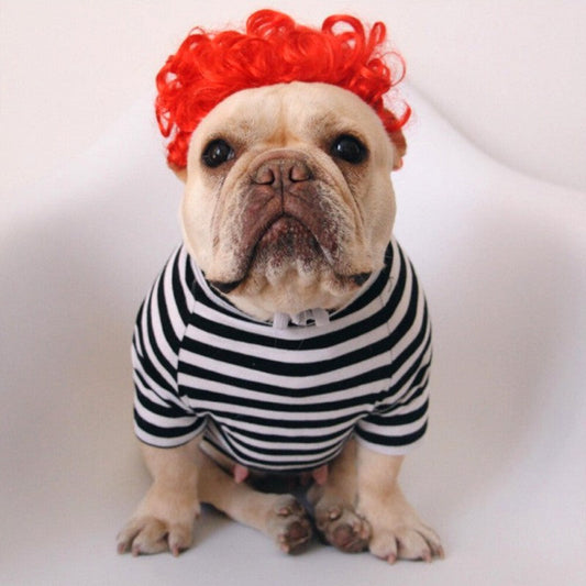 KFX-1252029 Pet Funny Wig Headgear in Black Explosive, Red Explosive, and Ruth Braid Styles