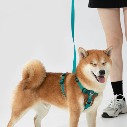 KFX-1263165 Multifunctional Double Pull Dog Leash and Chest Strap Set - Nylon and PVC Leather, 0-40kg Pets