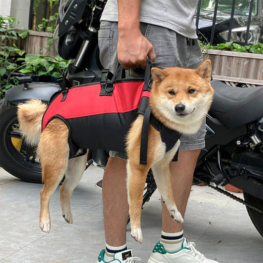 KFX-1287997 Multifunctional Airborne Pet Backpack Stretcher for Outdoor Adventures