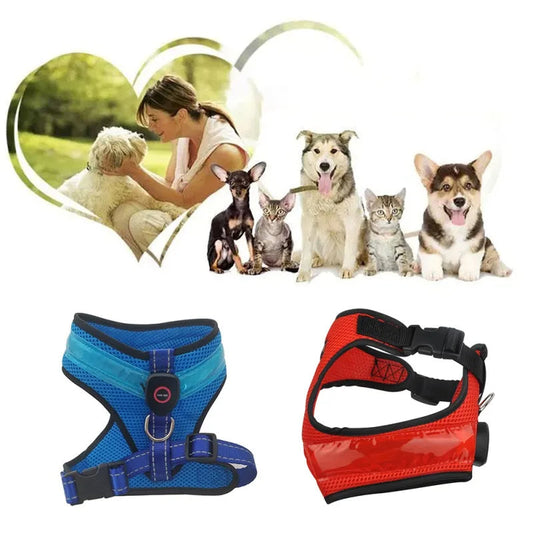 KFX-1299517 USB Rechargeable LED Dog Harness with Reflective Features - Pet Safety Chest Strap for Day and Night Use