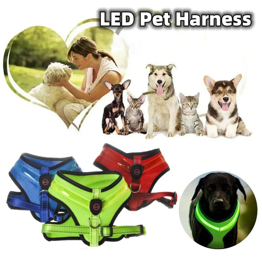 KFX-1299517 USB Rechargeable LED Dog Harness with Reflective Features - Pet Safety Chest Strap for Day and Night Use