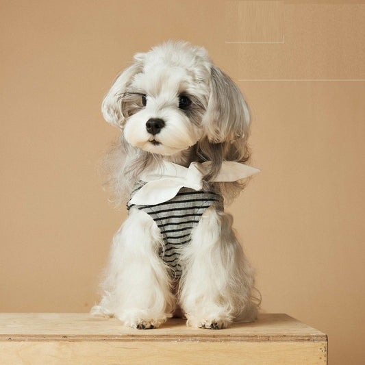 KFX-1305789 Spring and Summer Striped Dress for Dogs, Casual Polyester Pet Clothing in Multiple Sizes