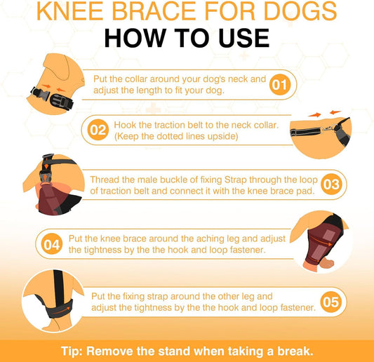KFX-1313341 Dog Knee Brace with Auxiliary Belt for Joint Support and Protection