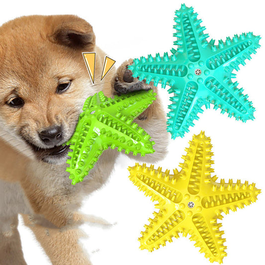 KFX-1316541 Starfish Molar Stick Dog Toy for Teeth Cleaning and Chewing Fun