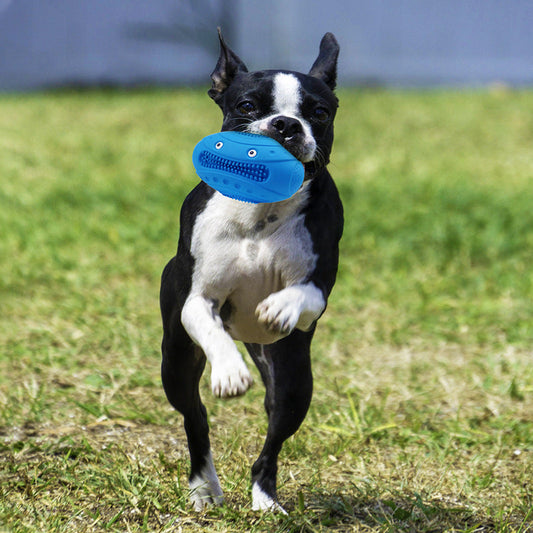 KFX-1320125 Natural Rubber Molar Pet Toy in Various Colors for Engaging Playtime