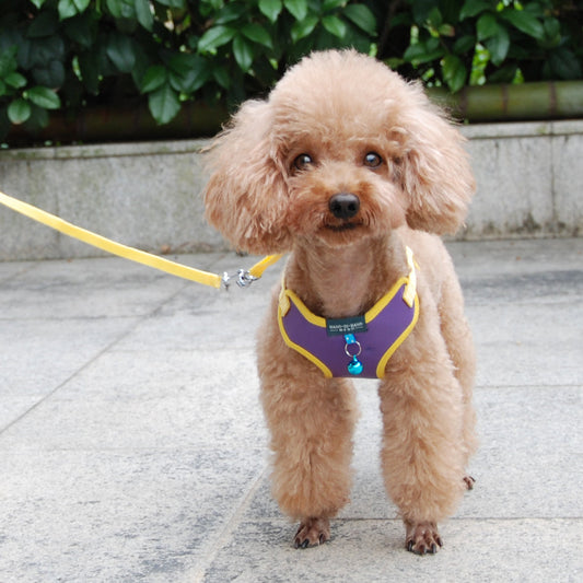 KFX-1353533 Breathable PU Mesh Vest-Style Harness with Adjustable Straps and Durable Copper Bell for Pets