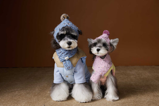 KFX-1364541 Autumn and Winter Down Vest for Pets - Stylish Casual Vest in Blue and Pink