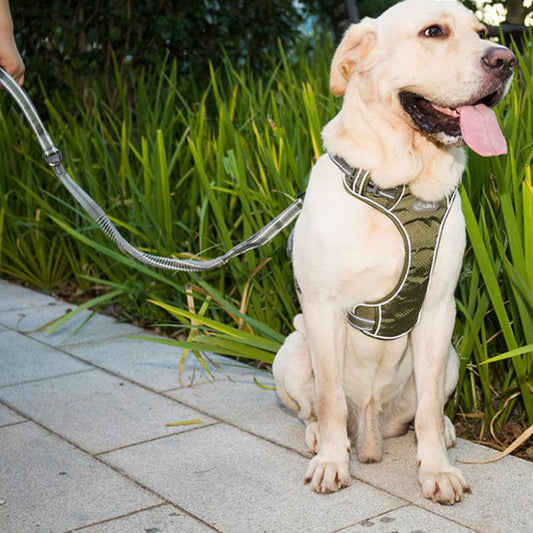 KFX-1398333 Elastic Retractable Dog Leash - Fluorescent Yellow/Army Green, Nylon Alloy, 1.45m Length, 240-280KG Pull Strength