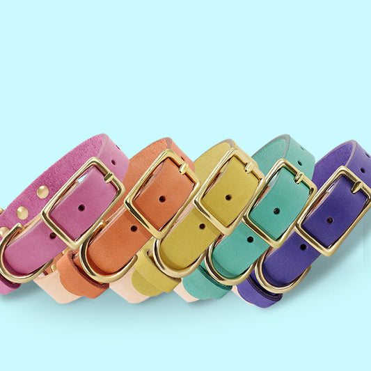 KFX-1406269 Leather Cat Collar with Adjustable Sizes in Multiple Colors and Customizable Nameplate Options