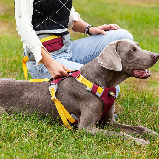 KFX-1413309 Reflective Dog Training Vest with Chest Strap in Barbie Pink, Grape Purple, and Wine Red