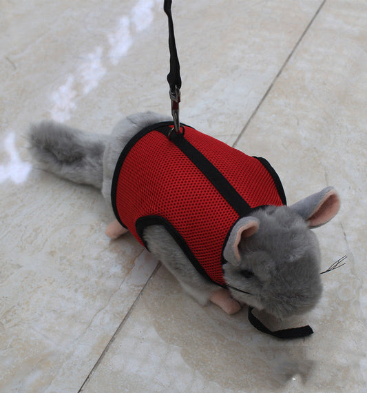 KFX-1427005 Small Pet Leash for Comfortable Walking – Durable Nylon, Multiple Sizes Available