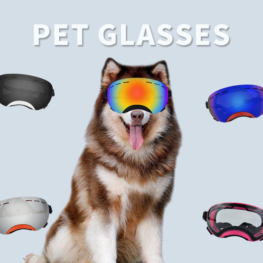 KFX-1504189 Windproof UV Protection Goggles for Dogs - Stylish Casual Design