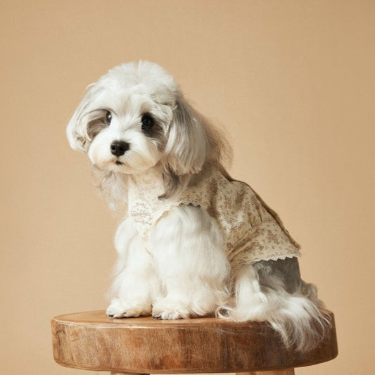 KFX-1528381 Sleeveless Cotton Princess Style Dress for Pets - Teddy Schnauzer, Bichon, Yorkshire Skirt