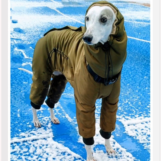 KFX-1534013 Super Thick Cotton Padded Clothes for Dogs in Military Green, Sizes S-XL