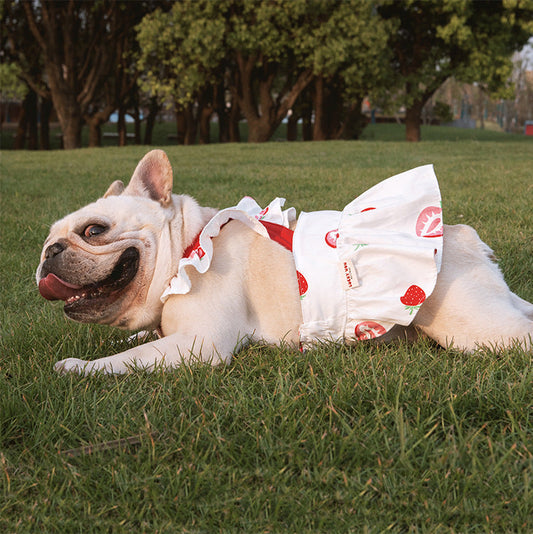 KFX-1541693 Lotus Leaf Lace Suspender Skirt for Small and Medium Dogs and Cats - Ruffled Sling Design with Strawberry Print