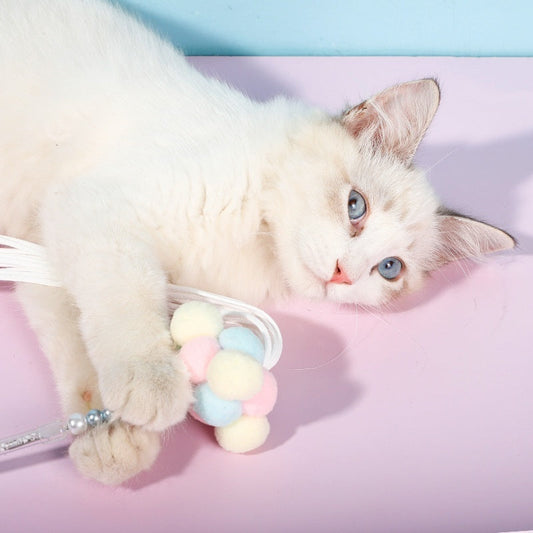 KFX-1584445 Acrylic Colorful Cat Teasing Rod Toy in Multiple Colors