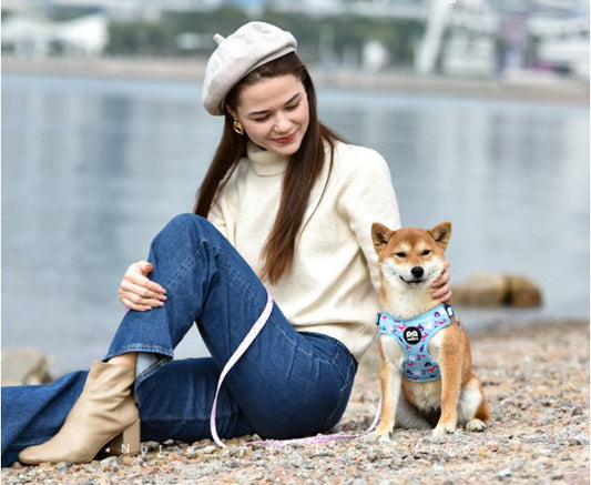 KFX-1621437 Y-shaped Oxford Cloth Dog Harness Vest with Reflective Strips and Breathable Mesh - Small and Medium Sizes Available
