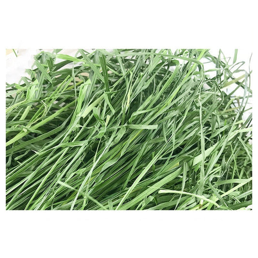 KFX-1633725 Dried Timothy Grass for Small Pets - Chinchillas, Guinea Pigs, Rabbits, 1kg Pack
