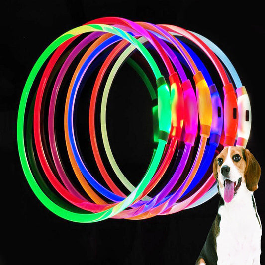 KFX-1662653 Shiny Anti-Lost Dog Collar with USB Charging - Available in Multiple Colors