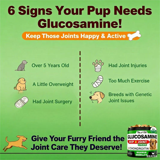 KFX-1666493 Hip & Joint Health Supplement for Dogs - 120 Chews with Glucosamine, Chondroitin, MSM & Hyaluronic Acid